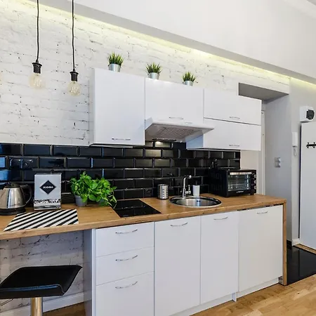 Apartament City Center Łódź